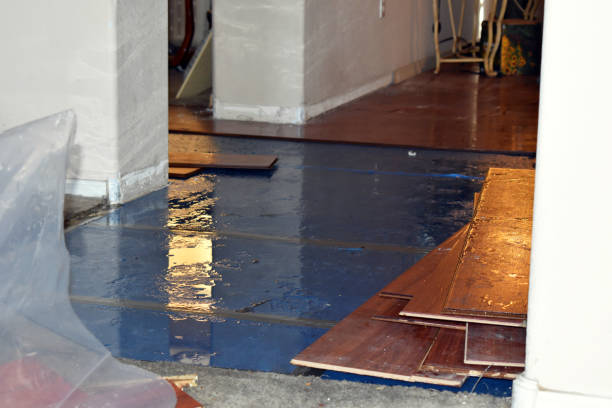 Professional Sewage Cleanup technician working in Montgomery, IN